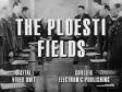 The Ploesti fields