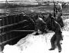 U.S. Marines armed with rifles during the Japanese attack on Pearl Harbor.