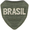 First badge of Brazilian Expeditionary Force.