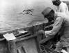 Japanese ammunition being thrown into the sea