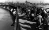 German prisoners of war marching across a bridge after being captured by the Red Army.