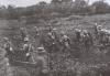 Chinese troops making a charge in Luodian, a suburban town of Shanghai.