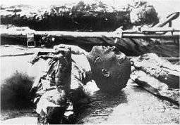 Josef Goebbels body in the chancellery.