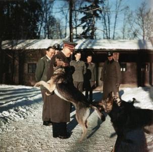Adolf Hitler playing with his German Shepherd "Blondi" at Wolfsschanze.